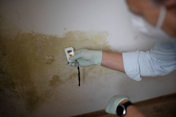 Best Water Damage Restoration  in Fortuna, CA