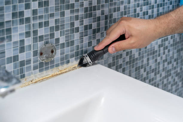 Best Affordable Mold Removal  in Fortuna, CA