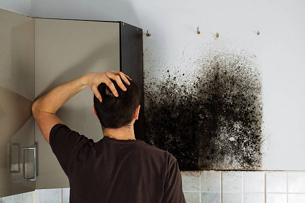Best Crawl Space Mold Removal  in Fortuna, CA